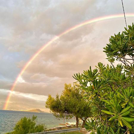 Villa Amica Trogir Buitenkant foto